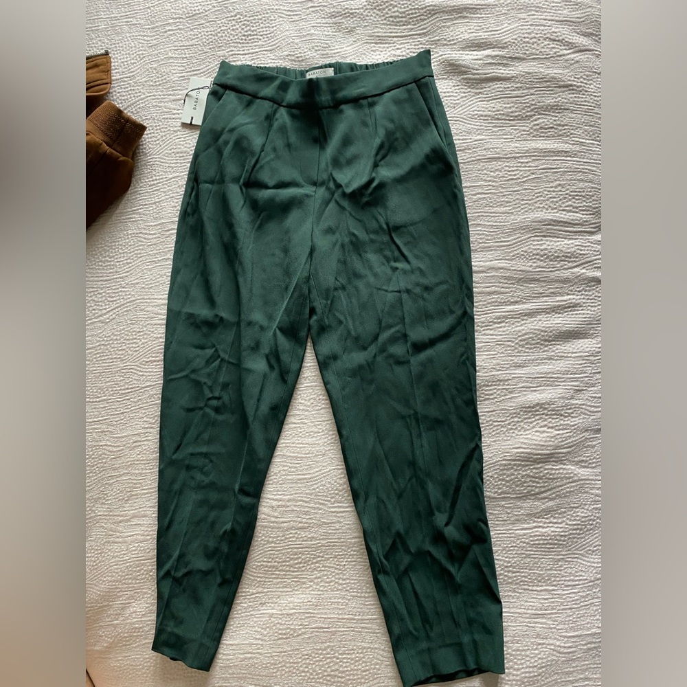 Aritzia/ Bavarian Dress Pants in Green